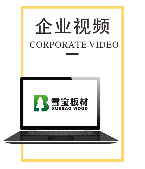 企業視頻